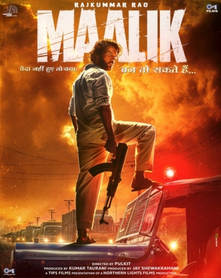 Action, Crime, Drama, Thriller